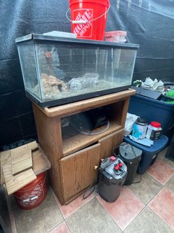 20g reptile $ stand