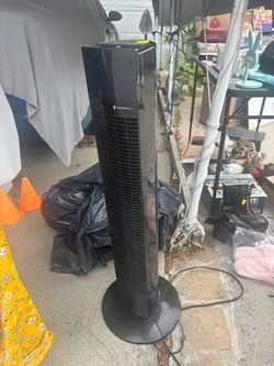 Fan