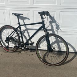 Trek Dual Sport 8.5 Bike 