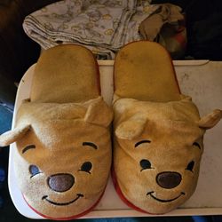 Winnie The Pooh Slipper