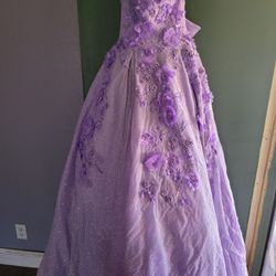 Sparkly Purple Quince Dress