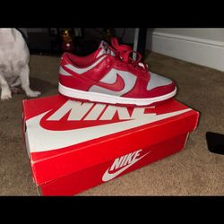 Nike LOW DUNKS Size 8.5M 