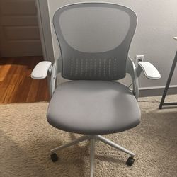 Ergonomic Chair