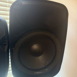 15 Inch Speaker