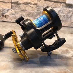 Daiwa SALTIST BG 20H Conventional Saltwater Reel -Loaded With Specta Line. .