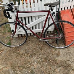 Vintage Nishiki International Road Bike