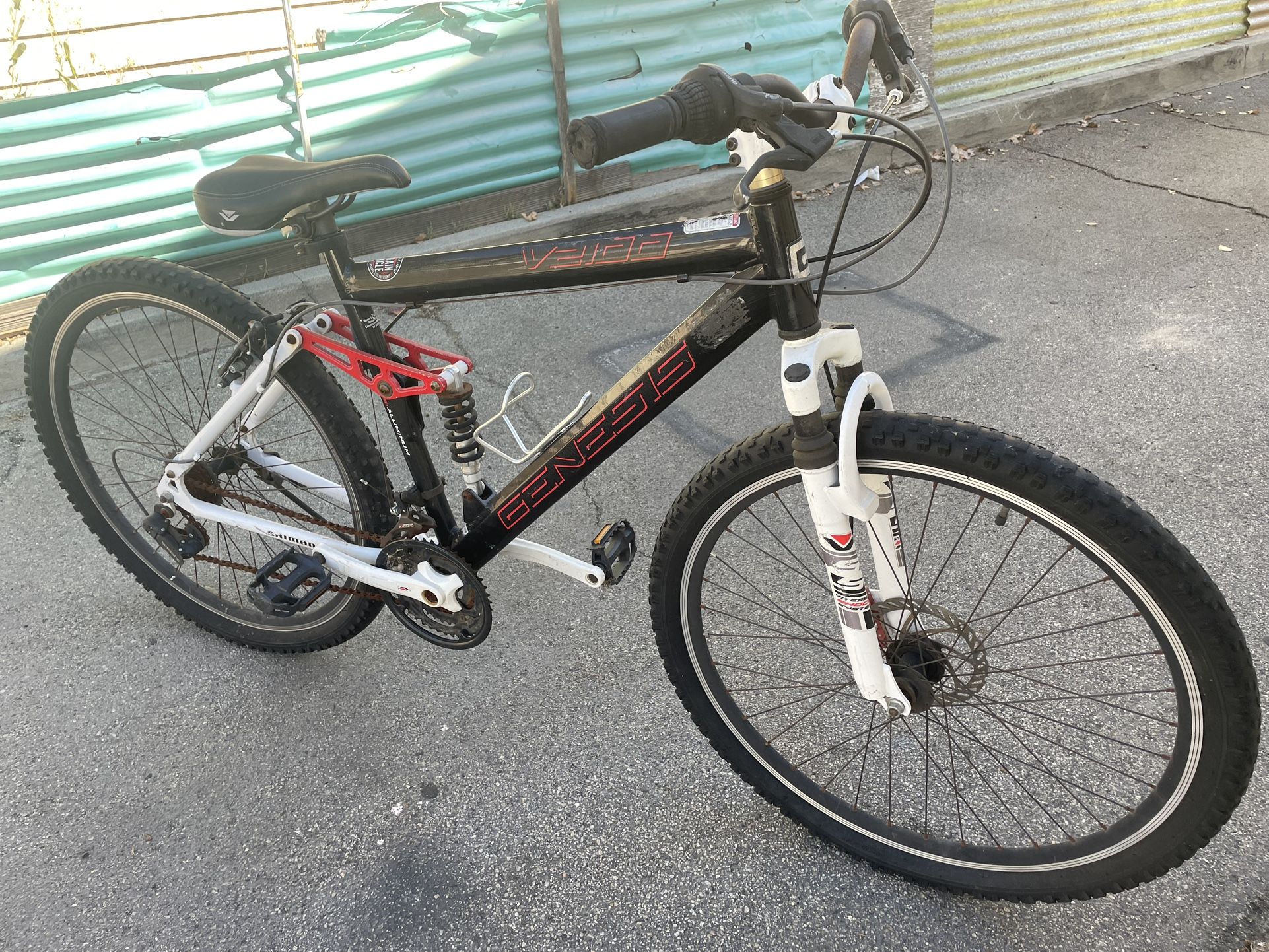 Teenagers Bike
