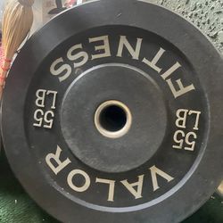 Gym Equipment 