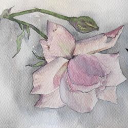 ORIGINAL ART PAINTING Flower PINK ROSE M.Polyanska 6X8” Floral Home Artwork Gift  
