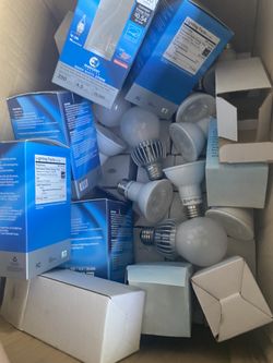 Light Bulbs