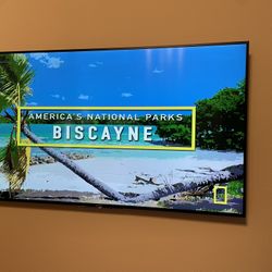 Sony Bravia 65” Tv