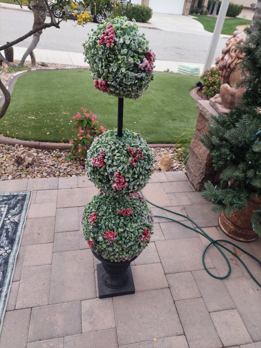 Topiary Tree