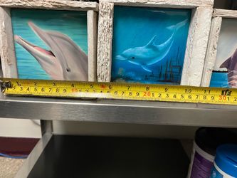 Dolphin artwork
