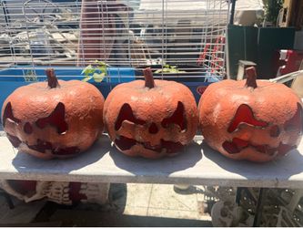 Halloween pumpkins
