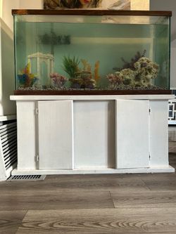 80 gallon fish tank