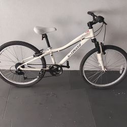 BICYCLE SPECIALIZED 7 SPEED SIZE 24 BRAND NEW 