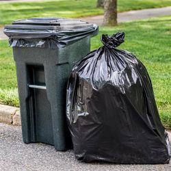 Will clean garage and recycling bins for 20 bucks