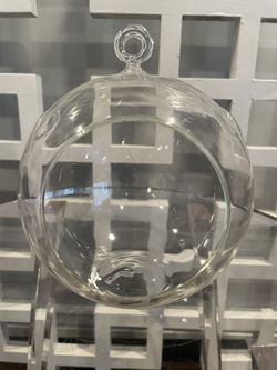 Hanging Glass Ball Terrarium - 5"