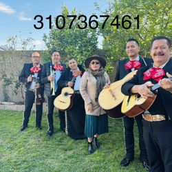 Guitara Vihuela De Mariachi 