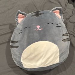 Grey cat squishmallow from 2019