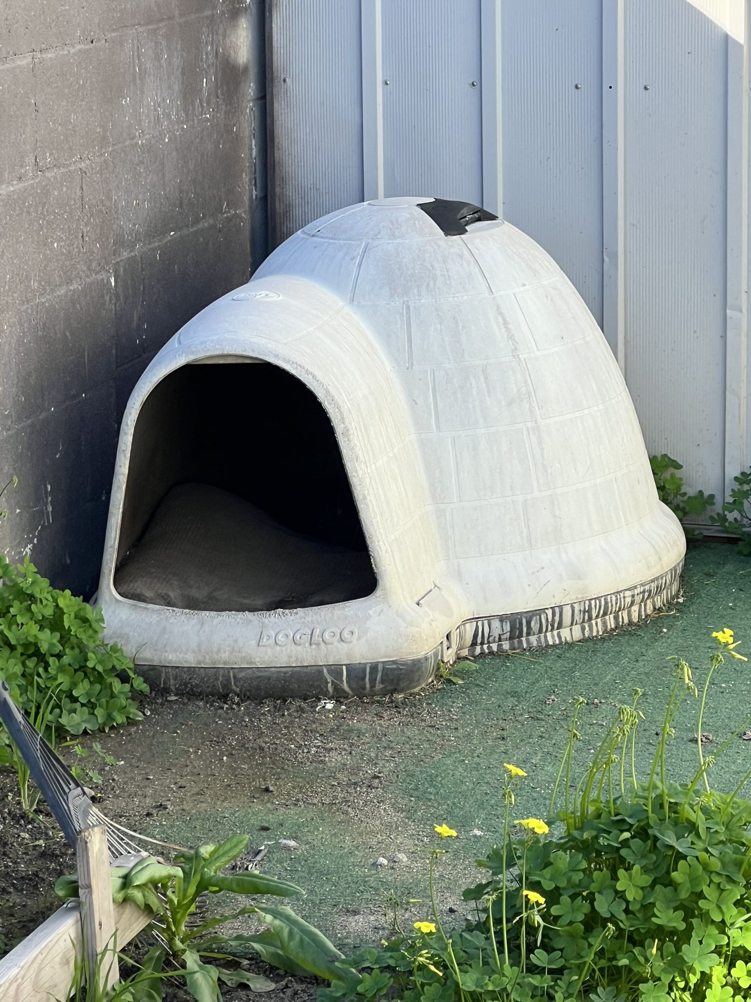 Dog house