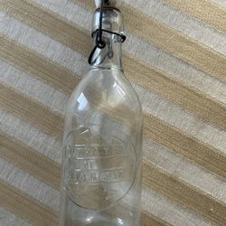 Citrate Of Magnesia Bottle