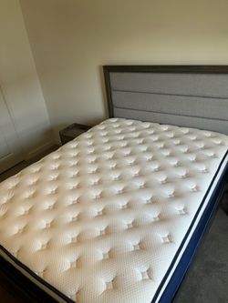 Free Queen mattress and box spring