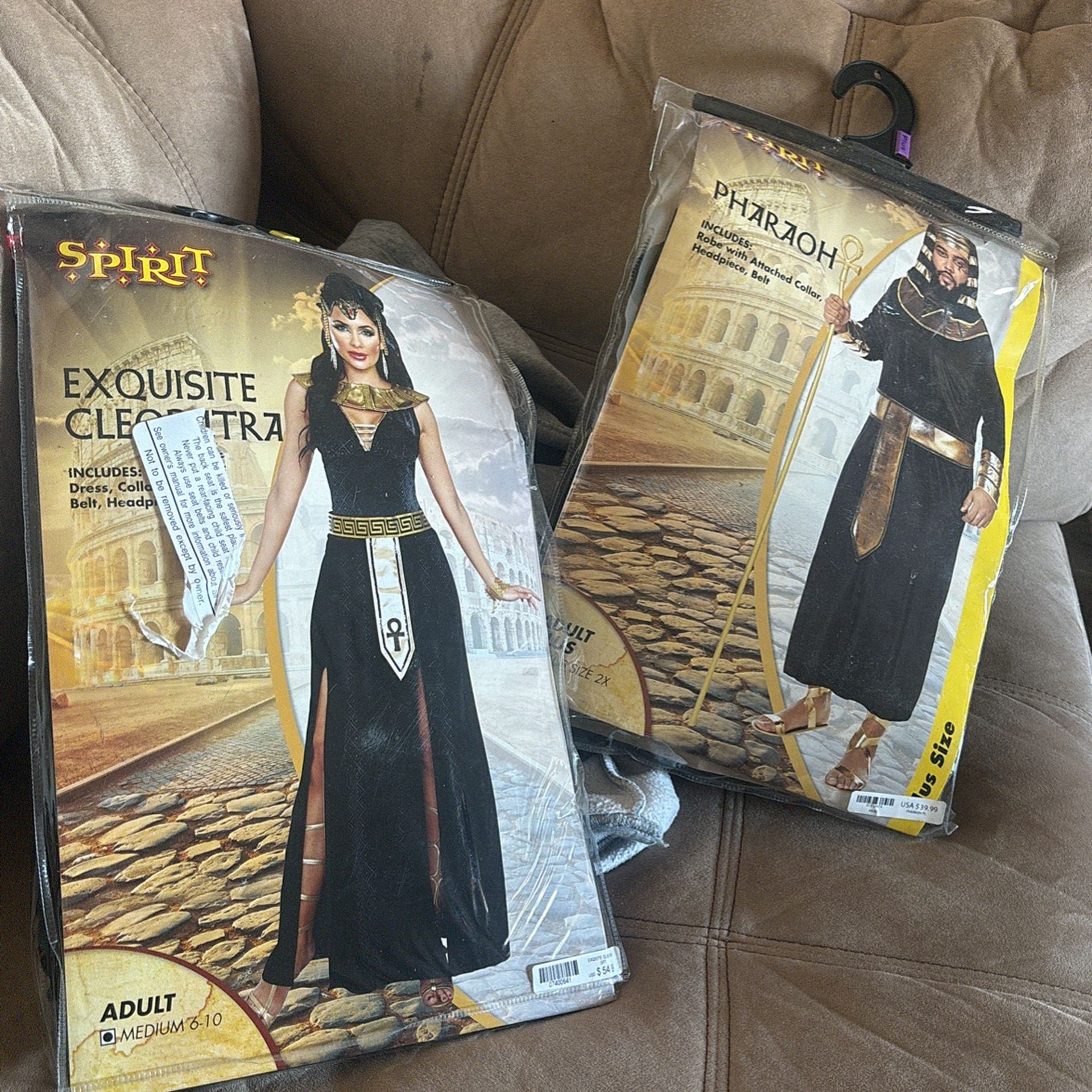 halloween costume
