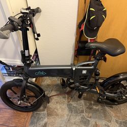 Fiido Electric Bike With Charger
