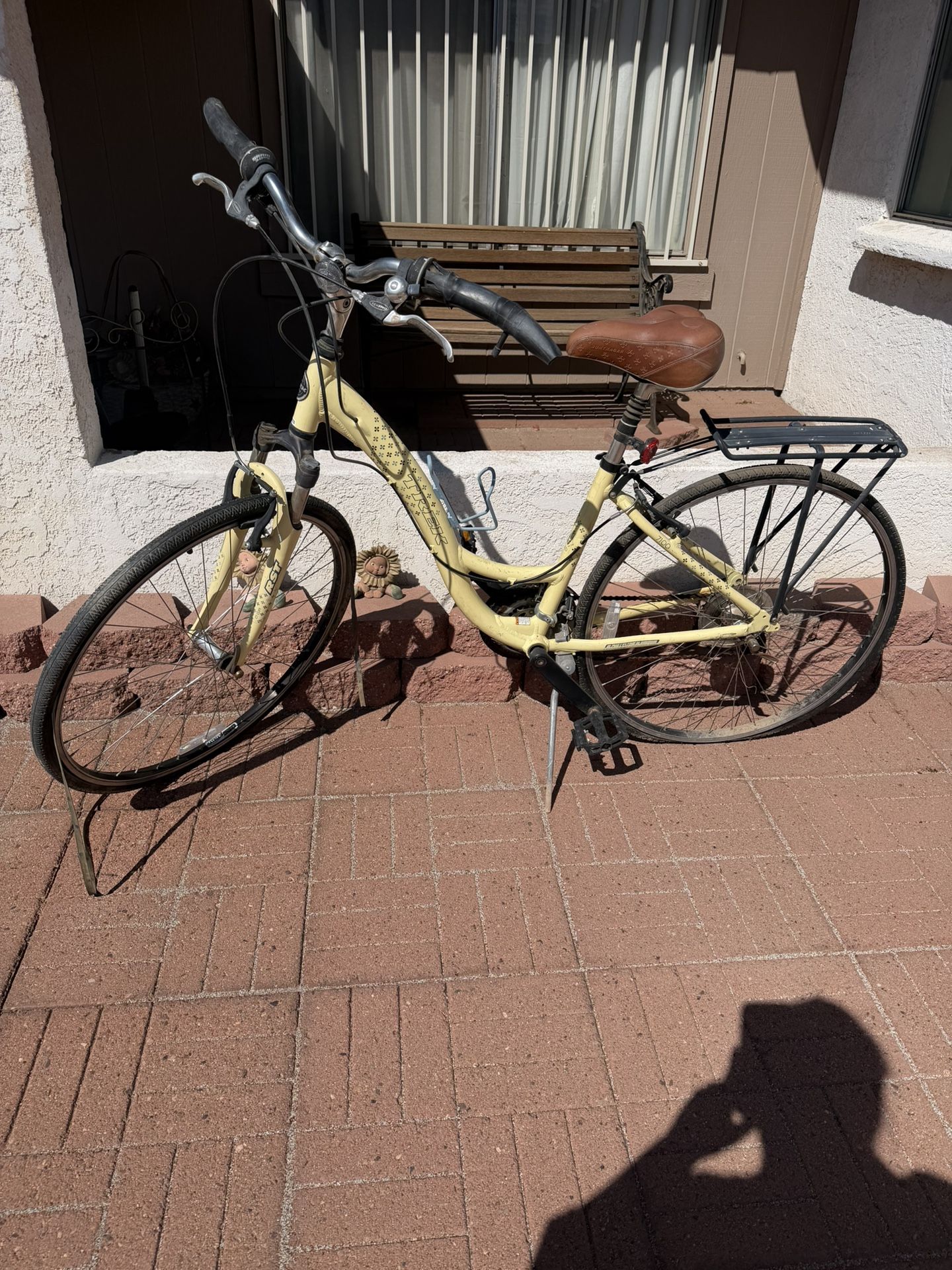 Trek Bike