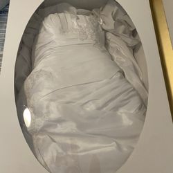 David’s Bridal Wedding Dress - Professionally Preserved - Like New
