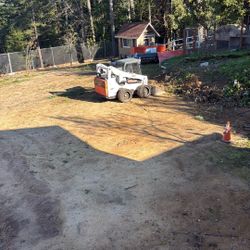Bobcat Skidsteer 