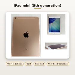 Apple iPad Mini  64 GB iOS 26.4 (Wi-Fi + celular )Unlocked