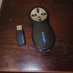 Laser Pointer With USB Flask Drive 
