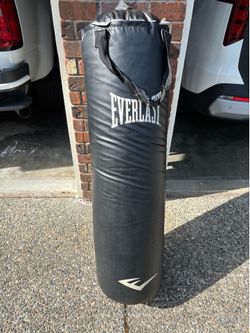 Punching Bag