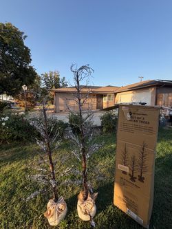 Christmas decor $50for the set they are brand new free delivery Christmas decor $40 for the set they are brand new