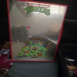 1990 Teenage Mutant Ninja Turtles mirror