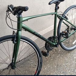 Giant Escape Moss Green 