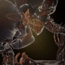 Room Poster\Hanging Wall Items\