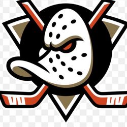 Anaheim Ducks vs San Jose Sharks