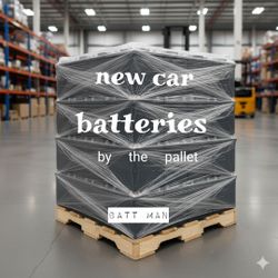 Car/truck batteries wholesale/por mayor