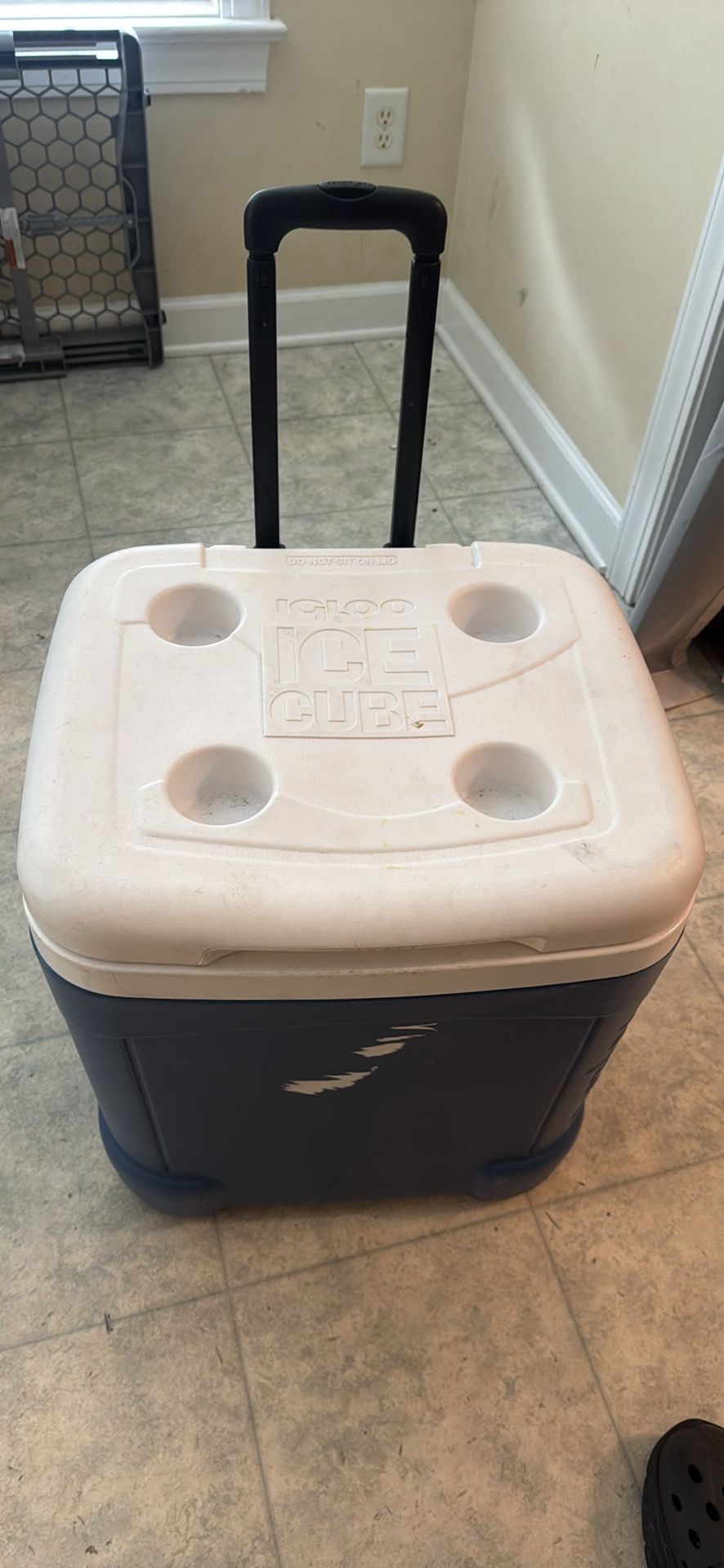 Igloo Ice Cube Cooler