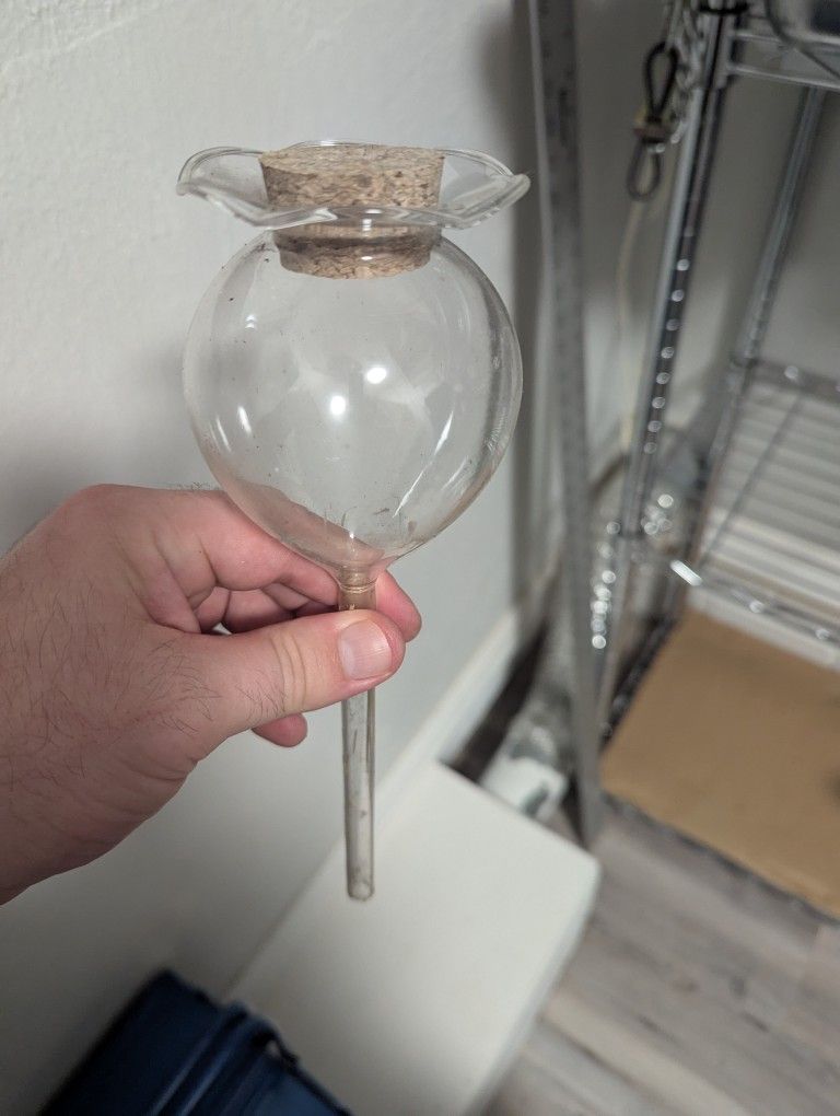 Watering Globes For Potted Plants, 6 Total