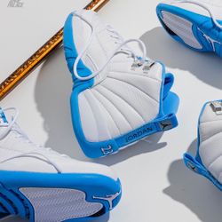 Brand New Jordan Retro 12s Melo 🔥🔥 Men $239.         🔥🔥    kids $179 Preschool $110 🔥🔥   Toddlers. $99