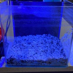 Glofish All In One Nano Tank 