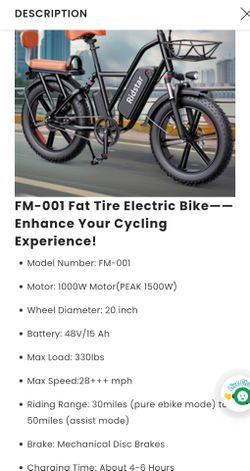 Ridstar 2 person ebike