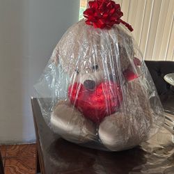 Valentine’s teddy bear