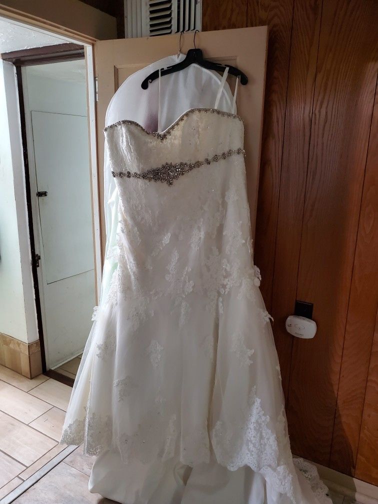 Excellent Condition And Clean Wedding Dress 