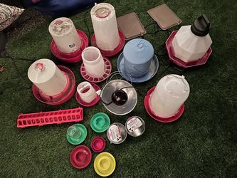 Hen Supplies