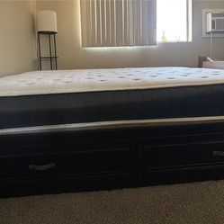 Bed Frame and Free Mattress!